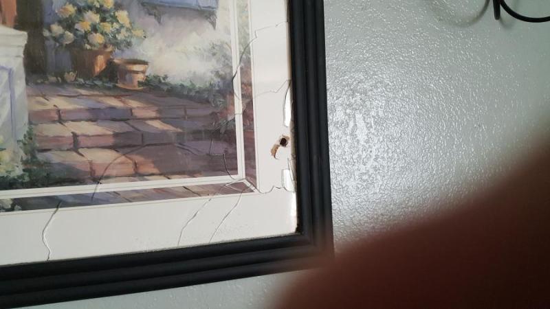 Bullet traveled through neighbor's joining wall.