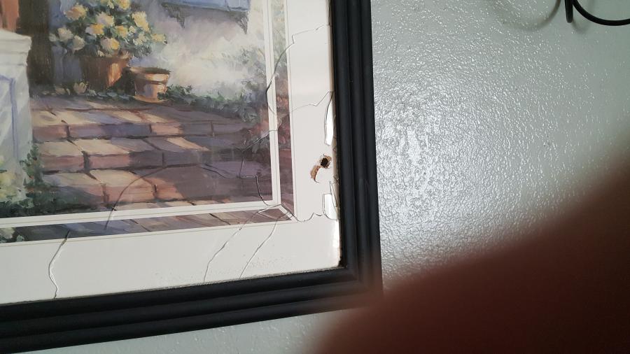 Bullet traveled through neighbor's joining wall.