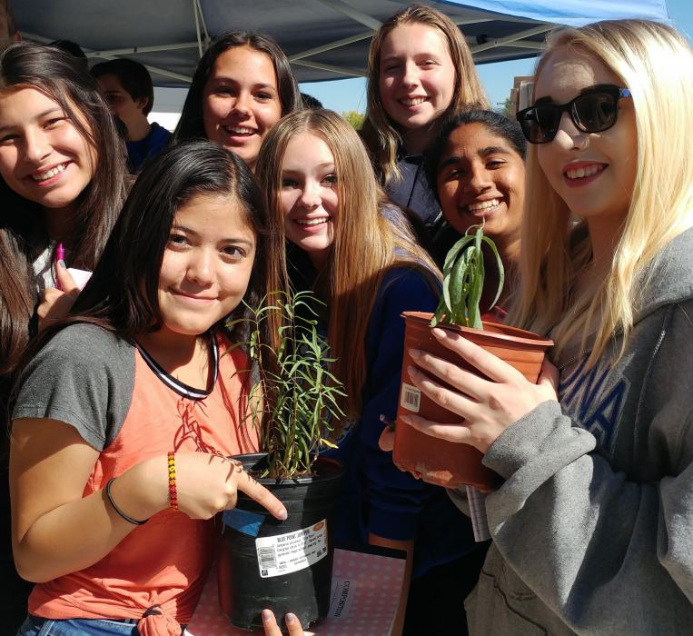 CHS Honors Biology students preparing to plant.