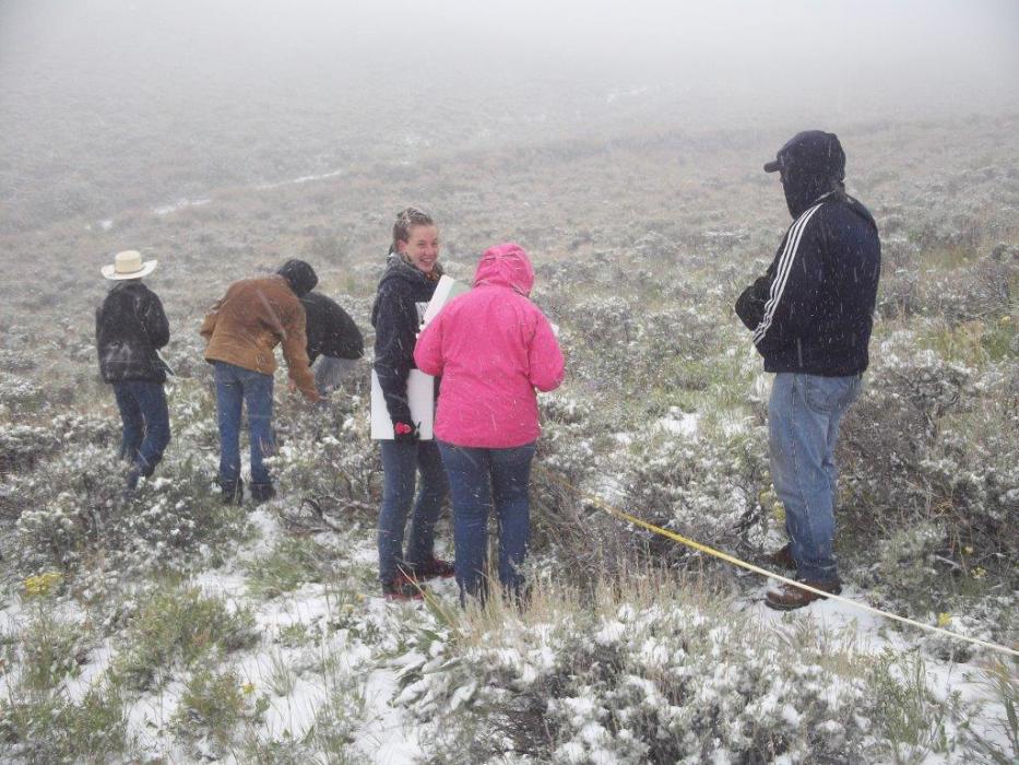 Nevada’s unpredictable weather is explained in “Nevada’s Weather and Climate.” Photo by Kent McAdoo