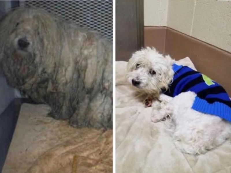 Photo courtesy NHS. Berg, before and after.