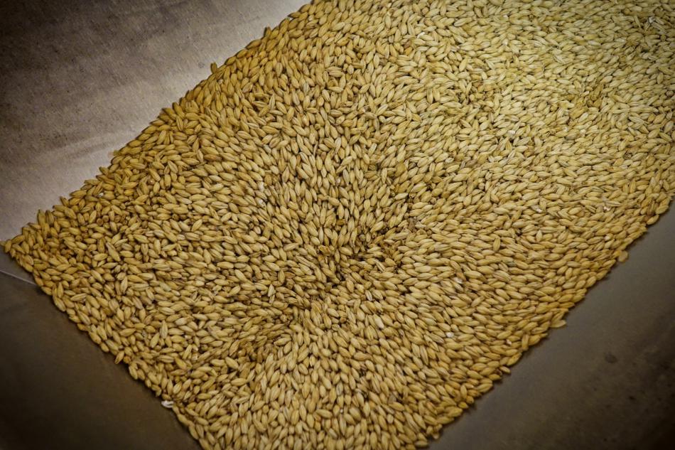 Measuring grains for a customer