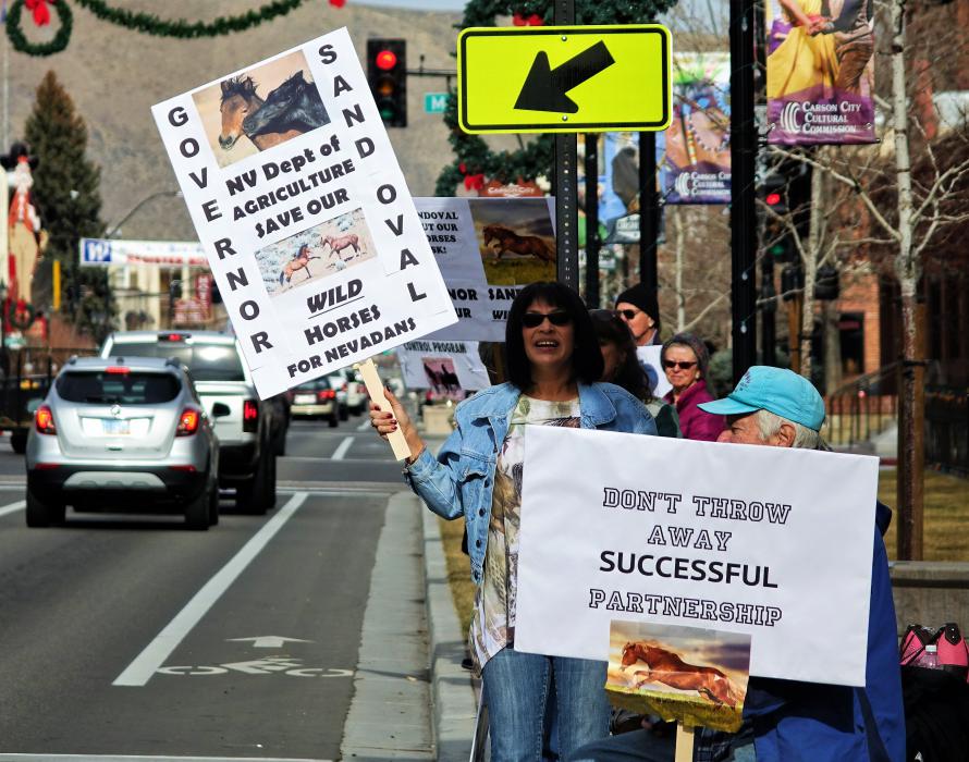 Photo by Jim Gustafson. Wild horse advocates protest along N. Carson Street in downtown Carson City.