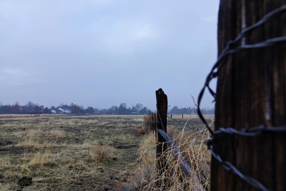 Fog from last week over Carson City. Rain and snow showers possible this week. Photo by Jim Gustafson.