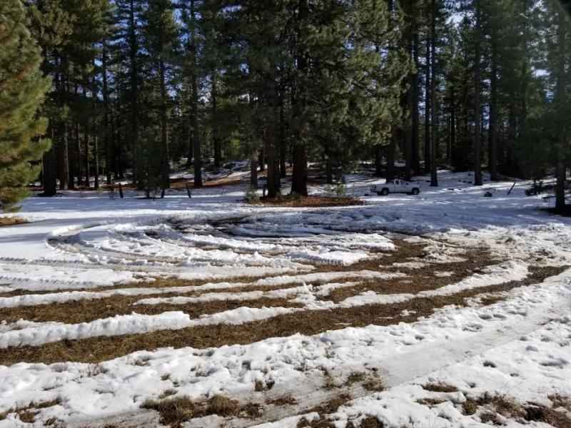 Paul Potts, U.S. Forest Service photo