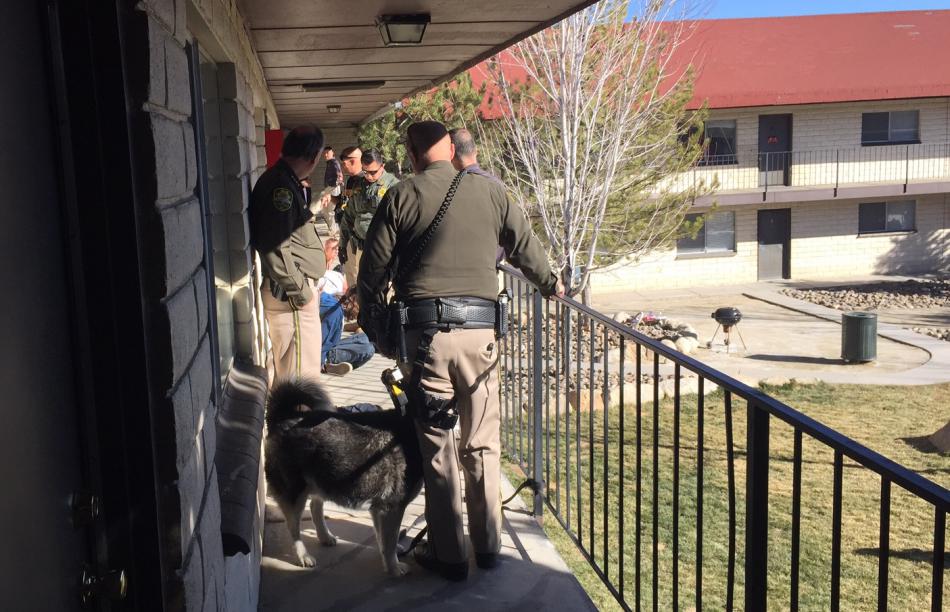 Carson City authorities arrest five Wednesday at a Menlo Court apartment, including a burglary suspect.
