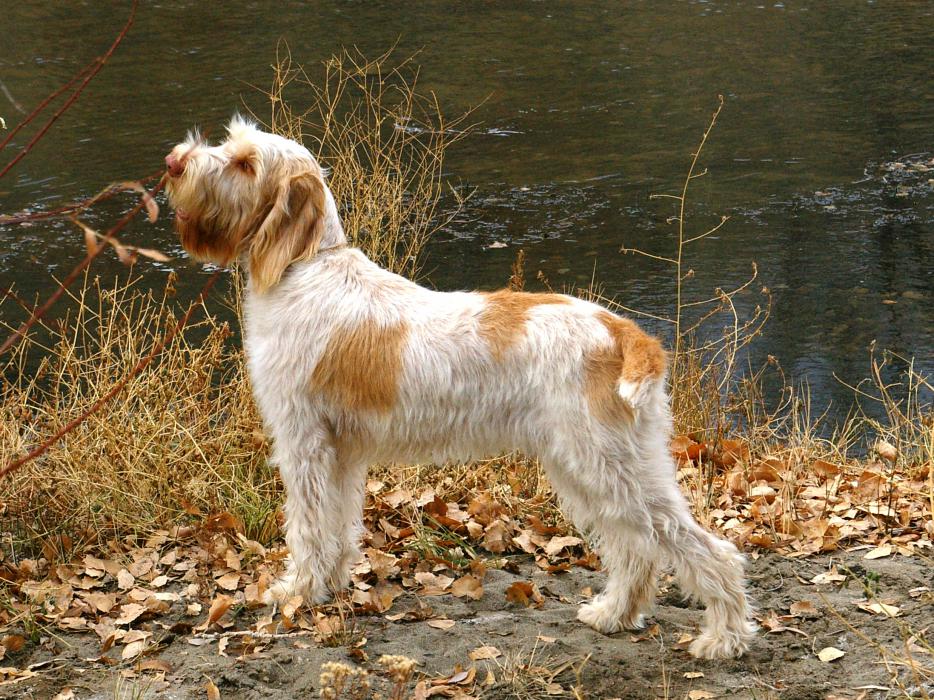 Addie Hunting