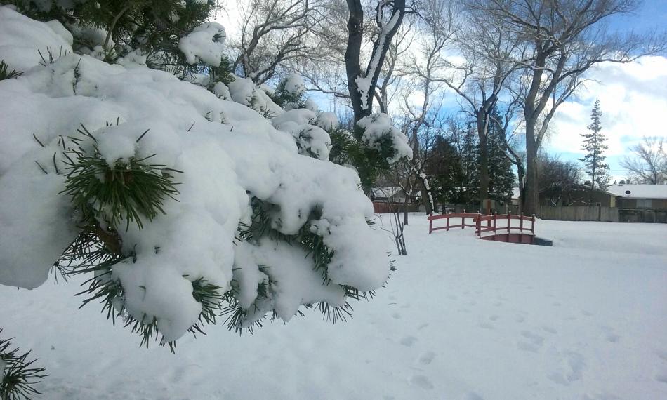 Photo by Brett Fisher. Snow at Mills Park.