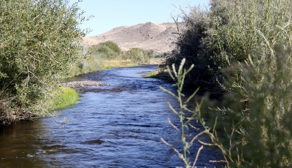 The Walker River at Nine Mile. Nevada State Parks photo