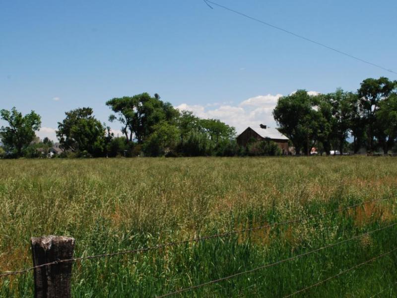 Louis and Elmer Stodieck Ranch. Photos courtesy: Nevada State Historic Preservation Office