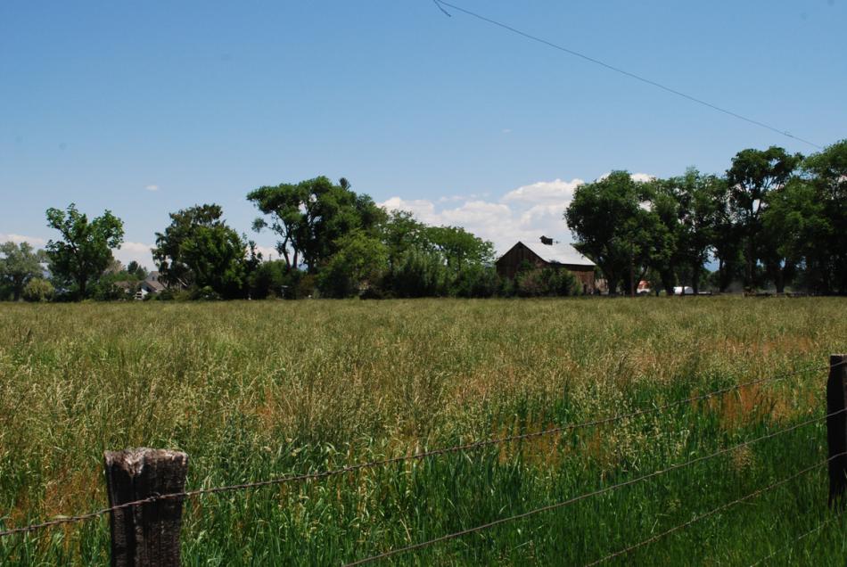 Louis and Elmer Stodieck Ranch. Photos courtesy: Nevada State Historic Preservation Office