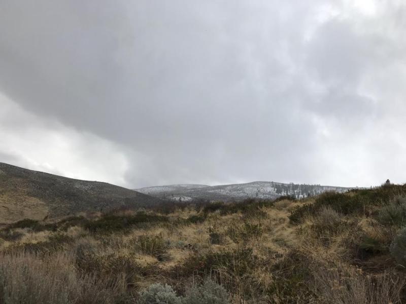NWS says 2-6 inches of snow is possible for Reno, Carson City and Carson Valley, and up to a foot above 5,000 feet.