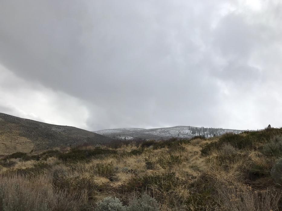 NWS says 2-6 inches of snow is possible for Reno, Carson City and Carson Valley, and up to a foot above 5,000 feet.
