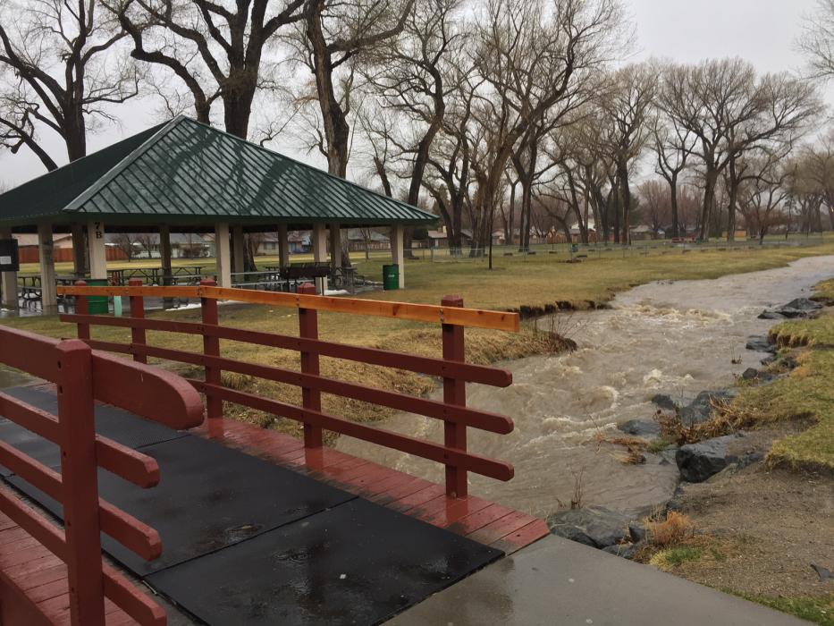 The stream through Mills Park flowed at its banks Thursday morning.