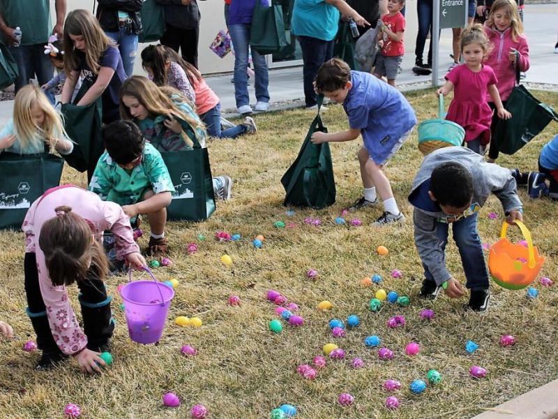 Photos courtesy Erin Meyering. Children gather Easter eggs on the Carson Tahoe Hospital campus Thursday.
