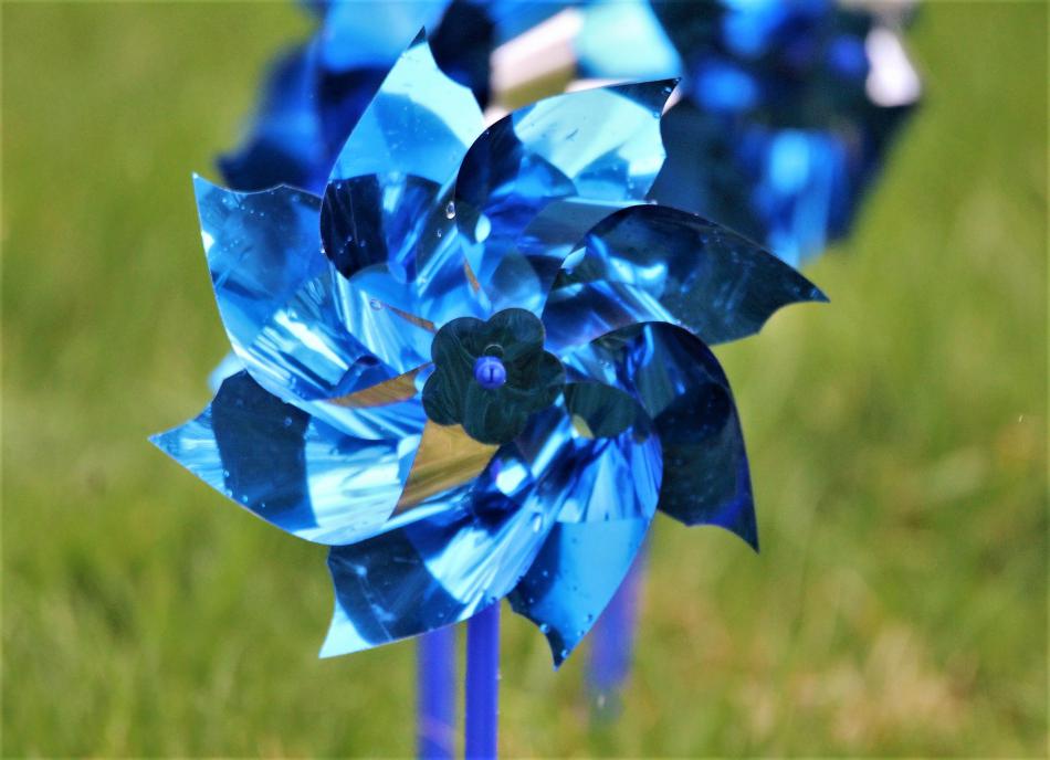 Photo by Brett Fisher. One of hundreds of pinwheels placed on the front lawn of the Nevada Legislature.