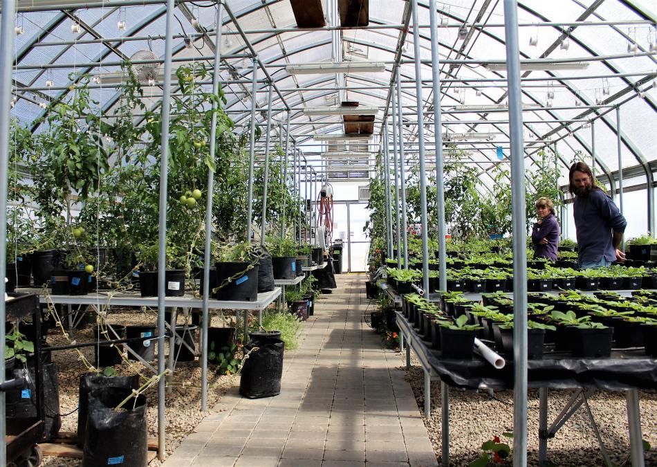 Inside the greenhouse behind Carson High School.