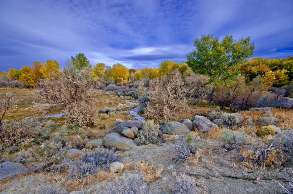 Photo by the Department of Conservation and Natural Resources