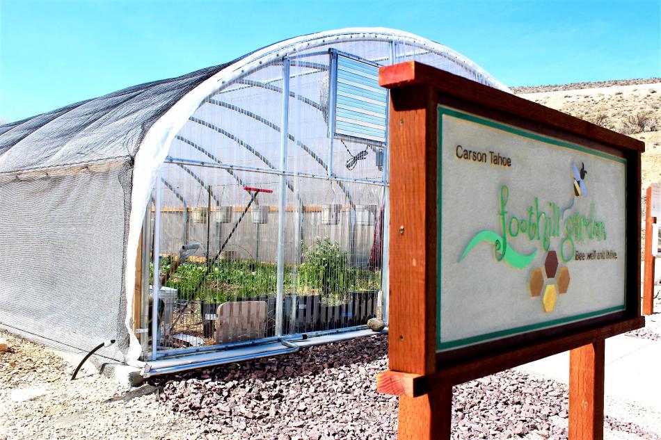 Foothill Garden hoop house behind Carson Tahoe Cancer Institute.