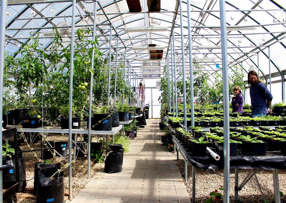 Inside the greenhouse behind Carson High School.