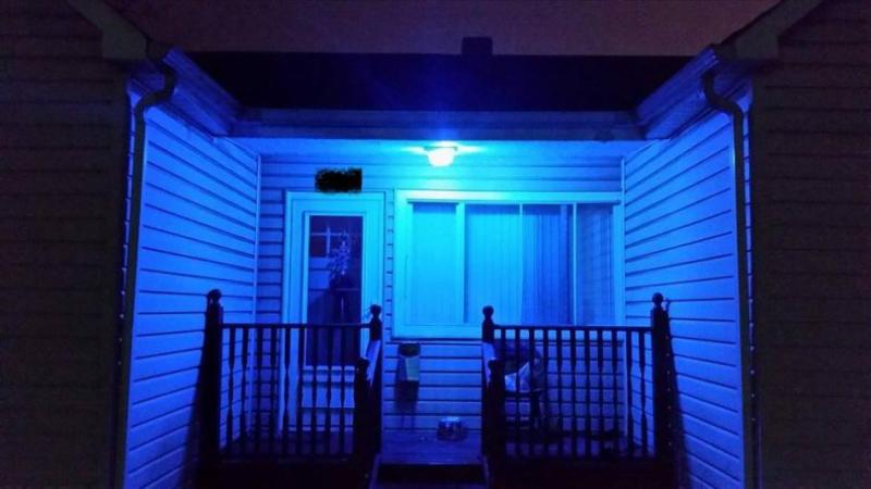 Photo courtesy of Project Blue Light