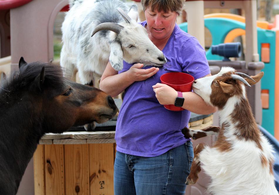 Photos by Brett Fisher. Zoe Cockerill with (from left) Lady Anna, Peanut Butter and Gypsy Rose.