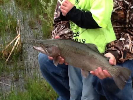 This trout was caught at Carson City's Baily Pond. This Saturday is the Lions Host Club Kids Fishing Day.
