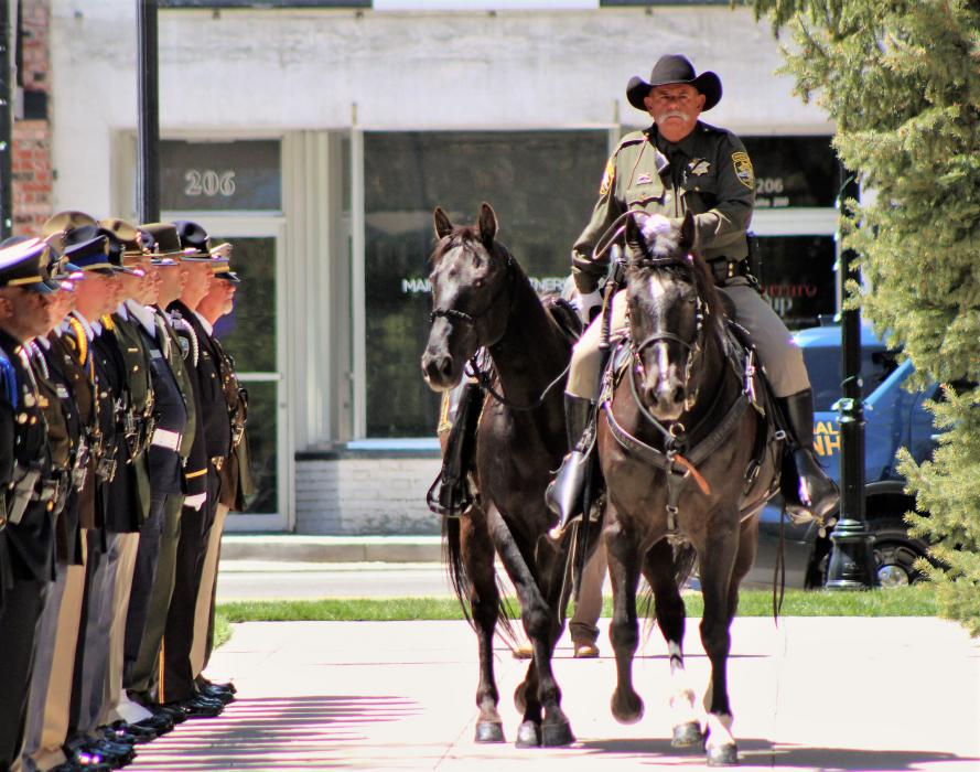 The riderless horse approaches the memorial.
