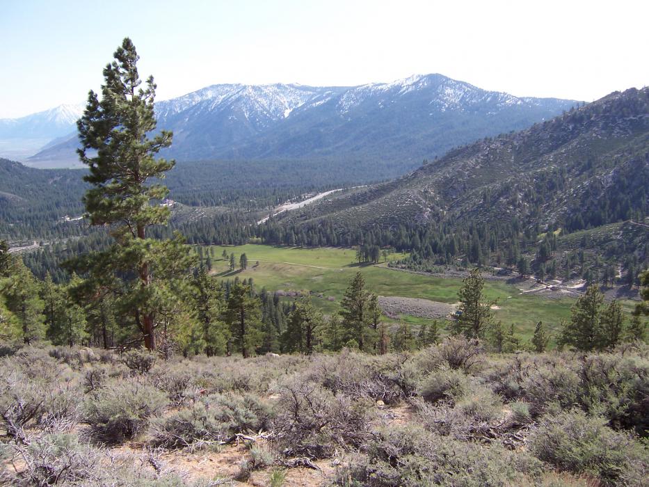 Horse Creek Property. Nevada Division of Forestry photo
