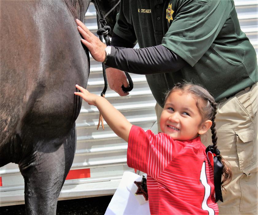 A girl pets an equine officer of the Sheriff's mounted unit.