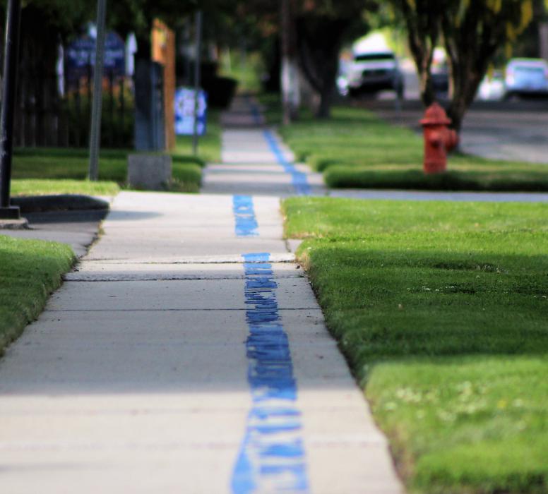 The blue line marking the Kit Carson Trail along Division St.