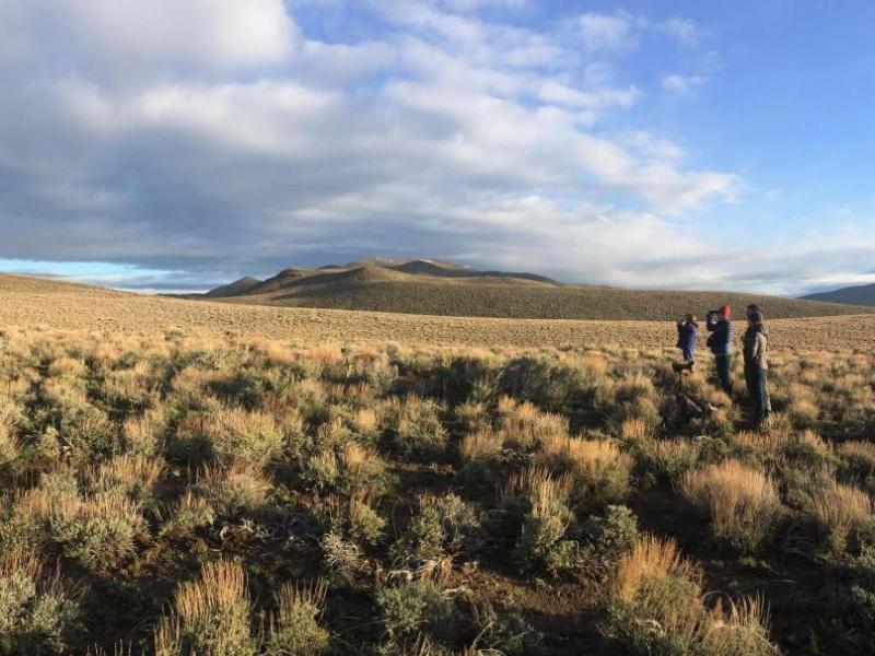 Austin-Tonopah Ranger District file photo of sage grouse counting.