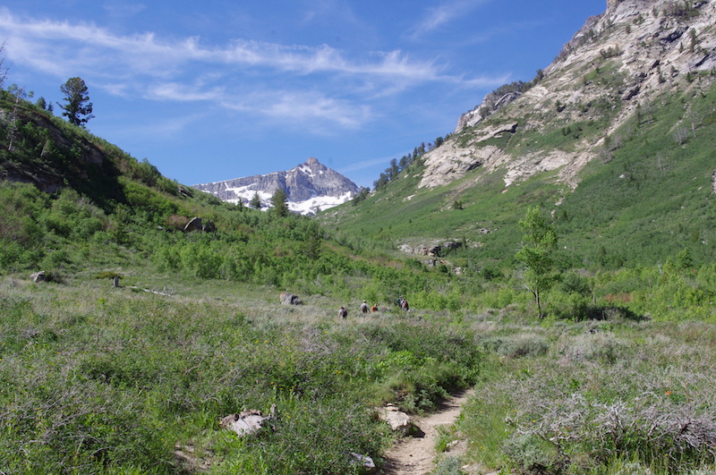 Since 1994, Nevada has received approximately $21 million from the Recreational Trails Program to help fund hundreds of trails.