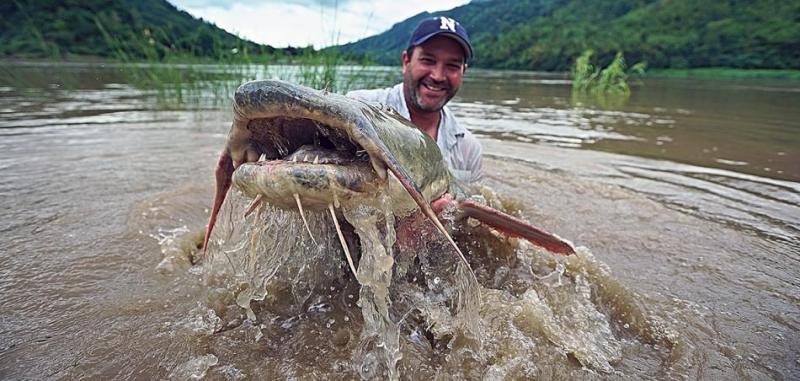 Hogan found more than 5 species of fish that grow more than 100 pounds, like this catfish, while filming.