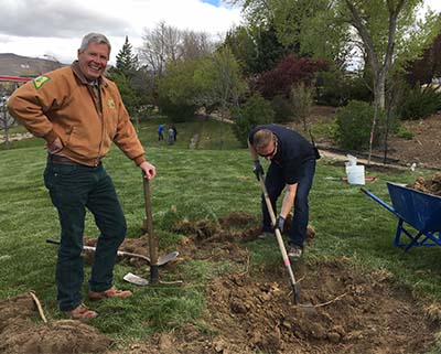 John Christopherson with Nevada Division of Forestry, left, plants a tree on Arbor Day 2017. UNR photo