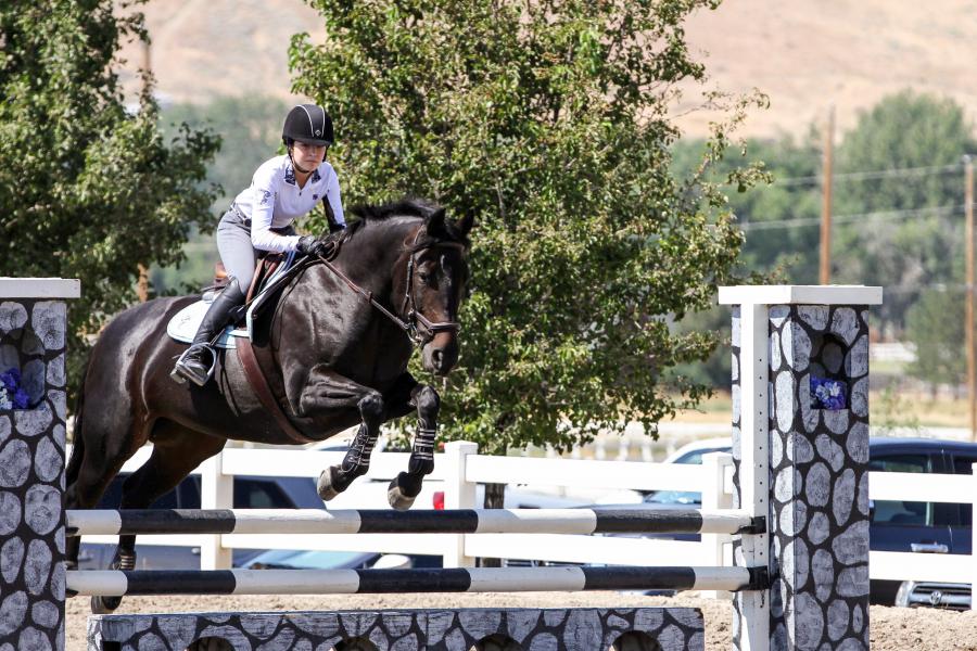 Nicole Roberts, sophomore & vice president of the Nevada Equestrian Team