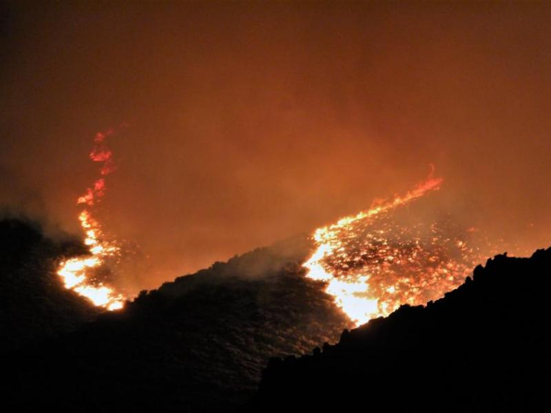 Two campers were detained and admitted to starting Tuesday night's fire. Photo by Brett Fisher.