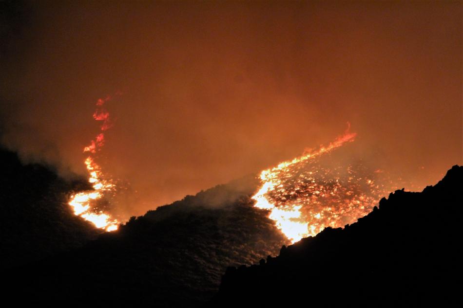Two campers were detained and admitted to starting Tuesday night's fire. Photo by Brett Fisher.