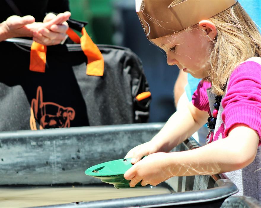 Photos by Brett Fisher. A young girl learns how to pan for gold Saturday.