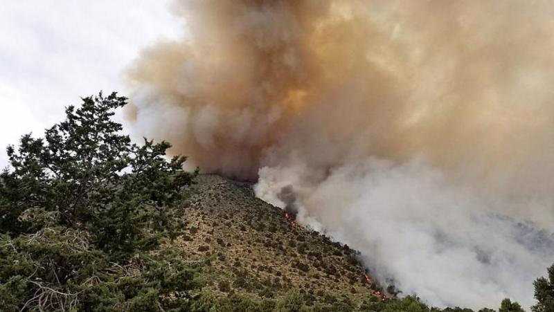 Photo courtesy KRNV News 4
