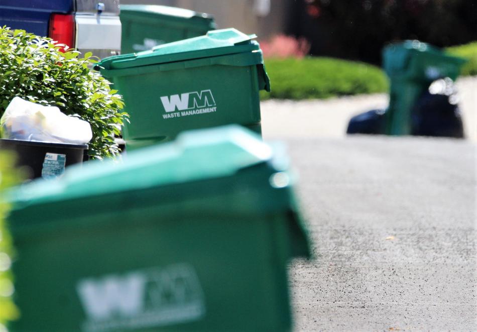 Photo by Brett Fisher. Residential garbage receptacles line a Carson City street.