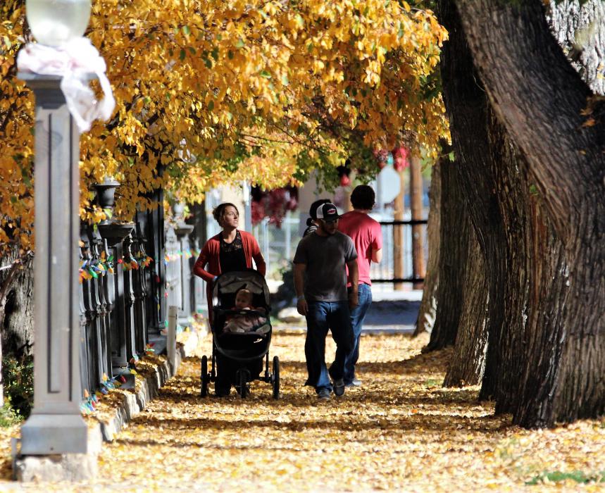 Historic downtown Carson City bustled with activities as part of last year's Passport To Downtown program. Photo by Brett Fisher