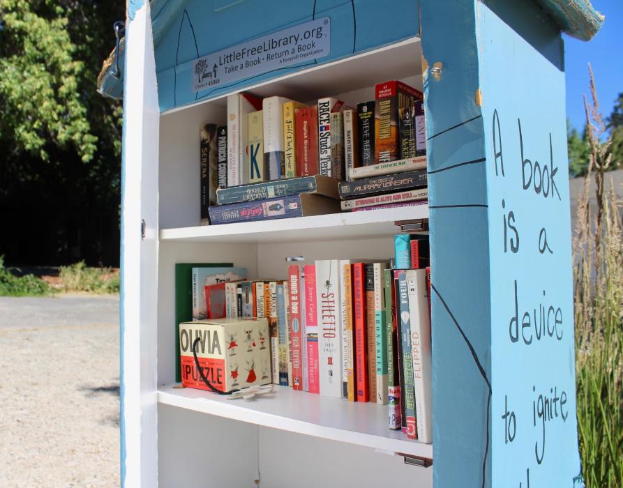 Photo by Brett Fisher. Books inside the W. Washington St. book box.
