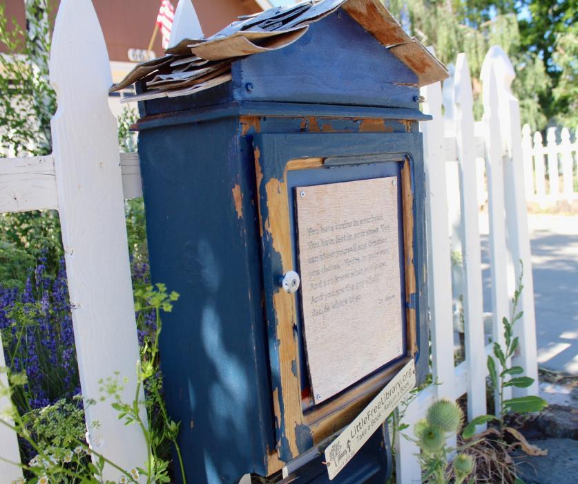 Photo by Brett Fisher. Book box on Lucas Drive.