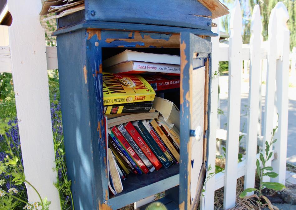 Photo by Brett Fisher. Books inside the Lucas Drive book box.