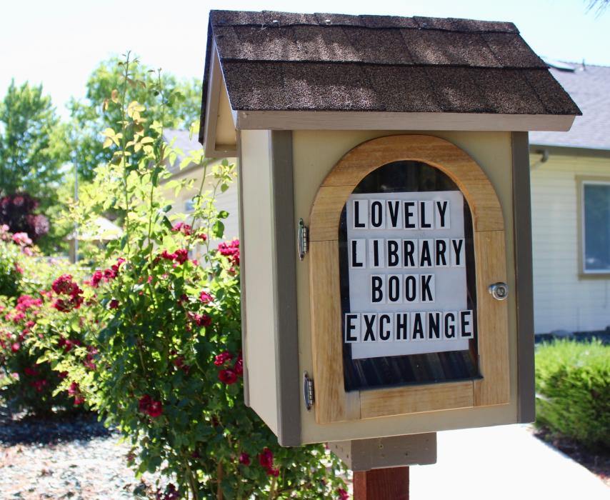 Photo by Brett Fisher. Book box in front of Skyline Estates on N. Mountain St.