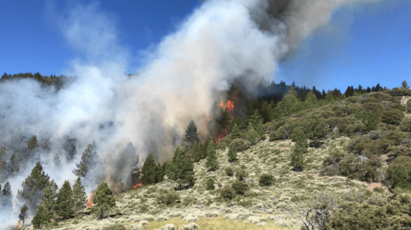 Photo courtesy Truckee Meadows Fire Protection District