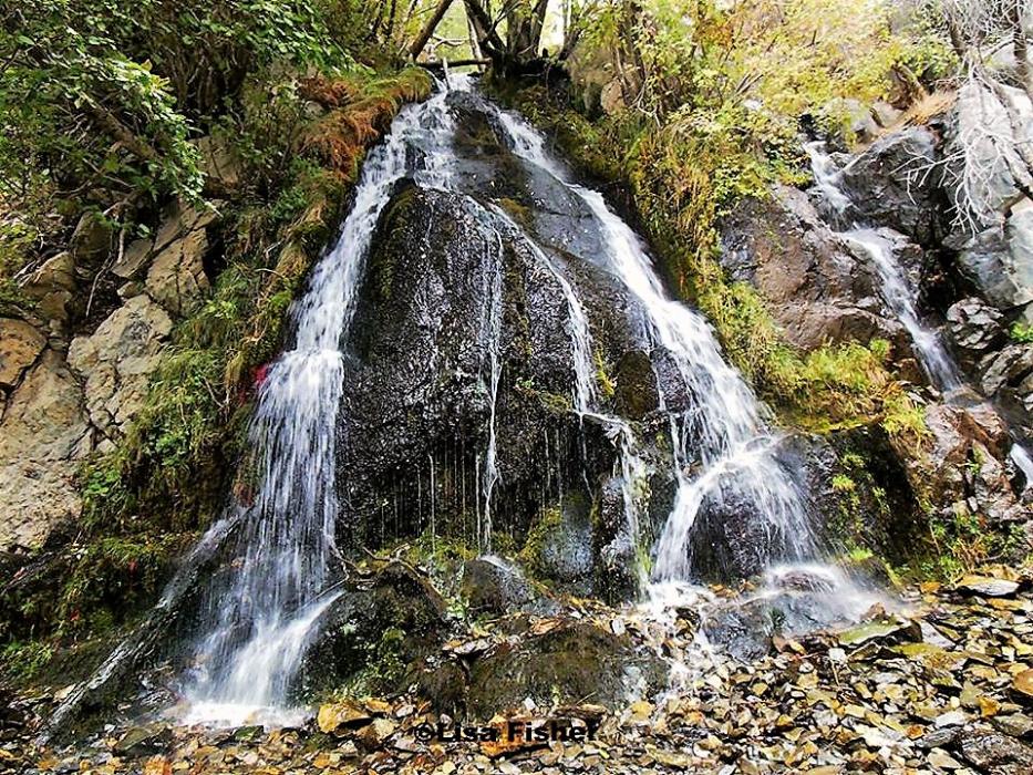 Photo by Lisa Fisher. Kings Canyon Waterfall in West Carson City.