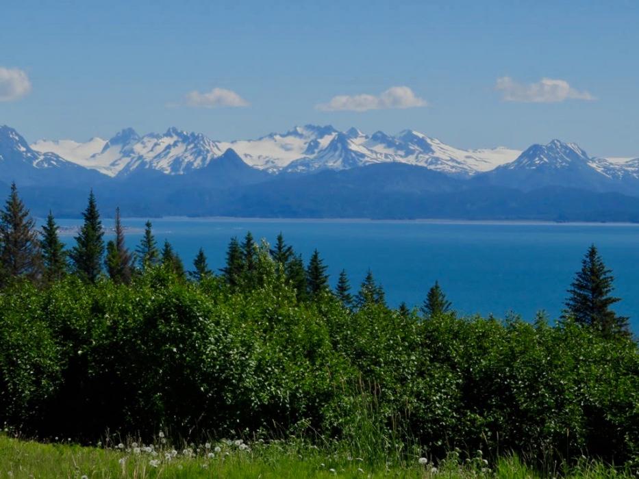 View from the cabin deck.