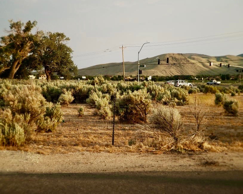 Photos by Brett Fisher. Parcel of land located at 17 Hospitality Way in Carson City.